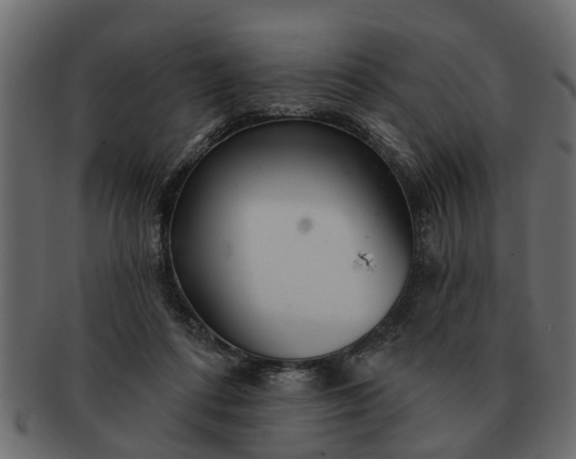 X0000091720312200709071442