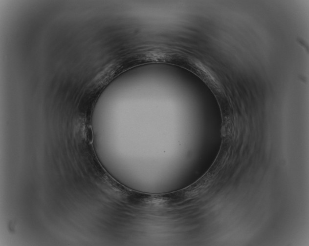 X0000091720313200709071442