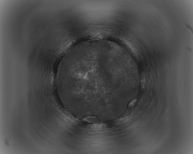 X0000091720314200709071442