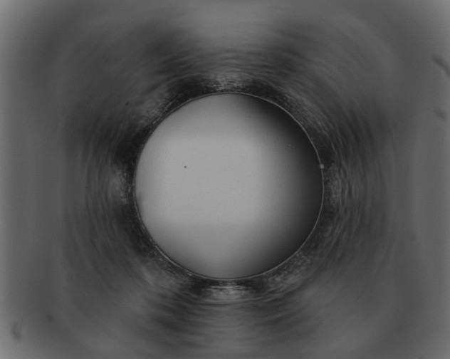 X0000091720316200709071442