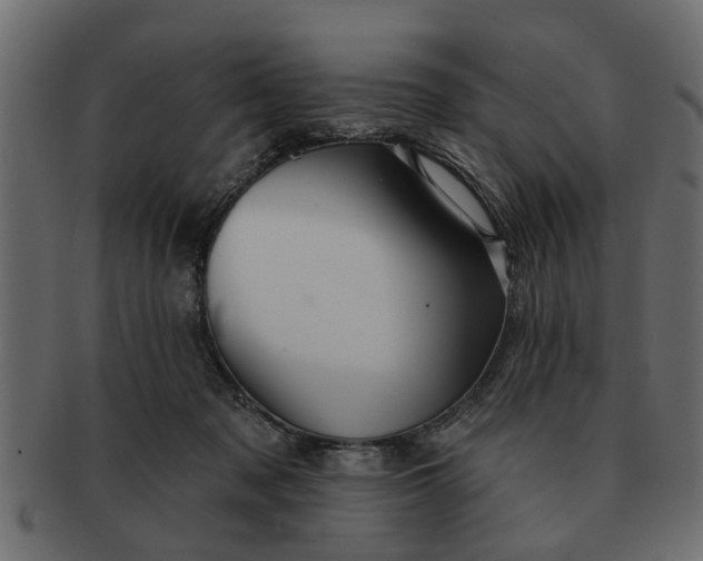 X0000091720317200709071442