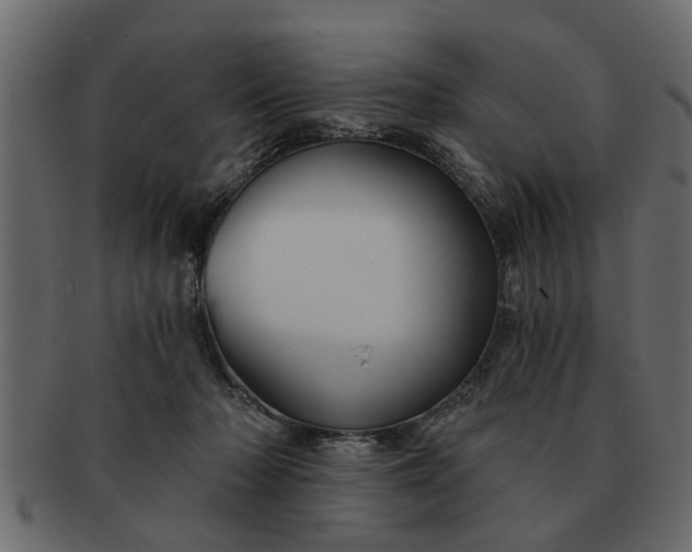 X0000091720318200709071442