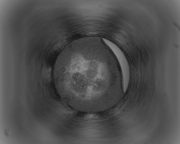 X0000091720319200709071442