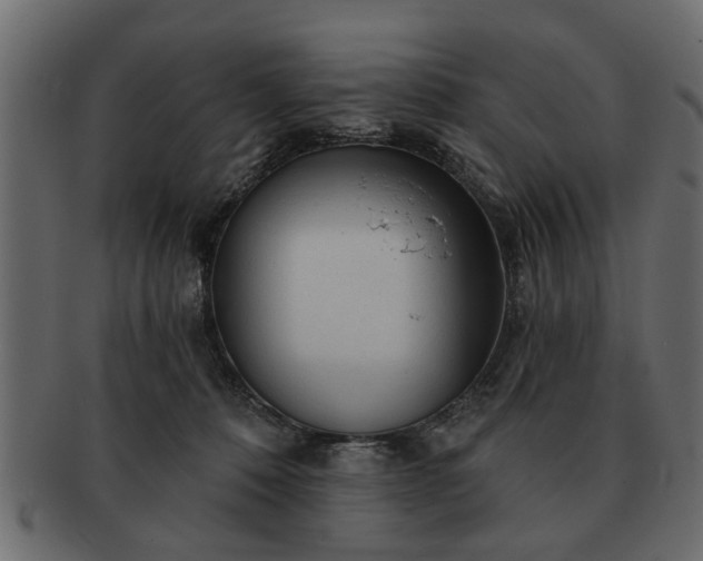 X0000091720320200709071442