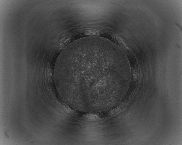 X0000091720322200709071442