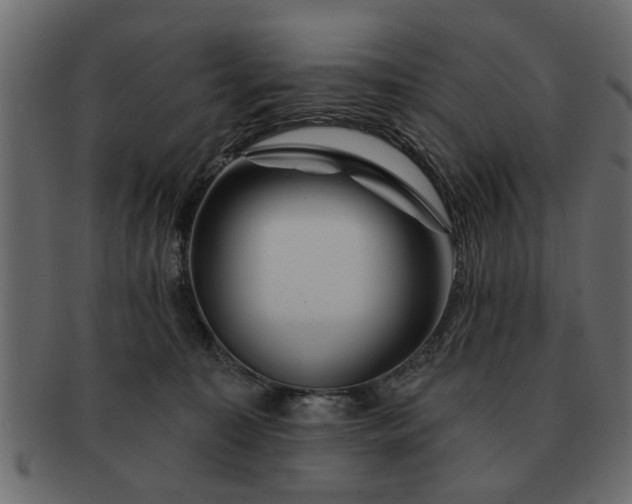 X0000091720323200709071442