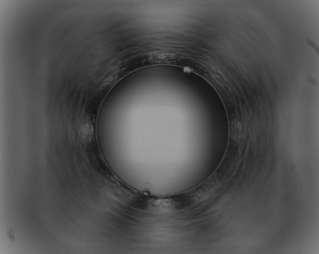 X0000091720324200709071442