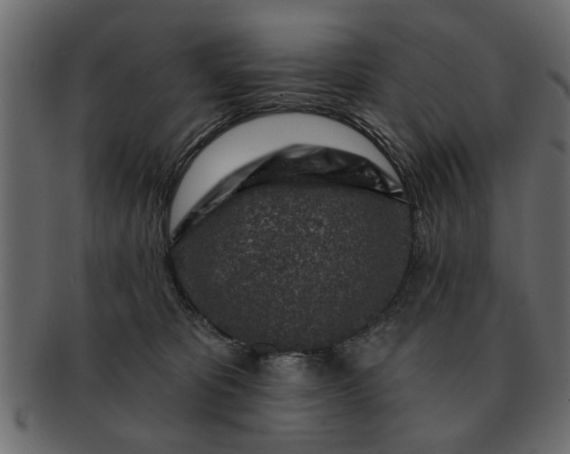 X0000091720325200709071442