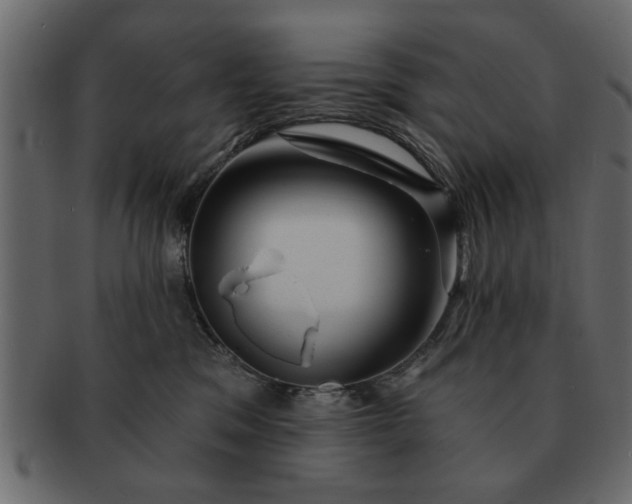 X0000091720329200709071442