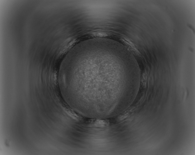 X0000091720330200709071442