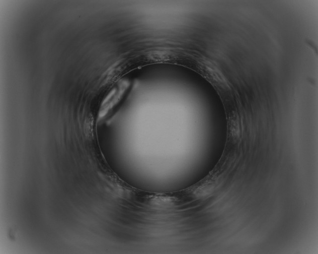 X0000091720332200709071442