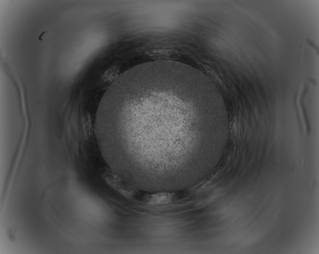 X0000091720335200709071442