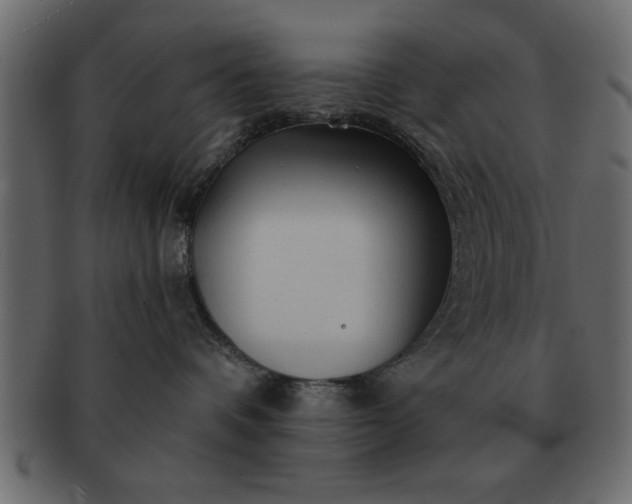 X0000091720336200709071442