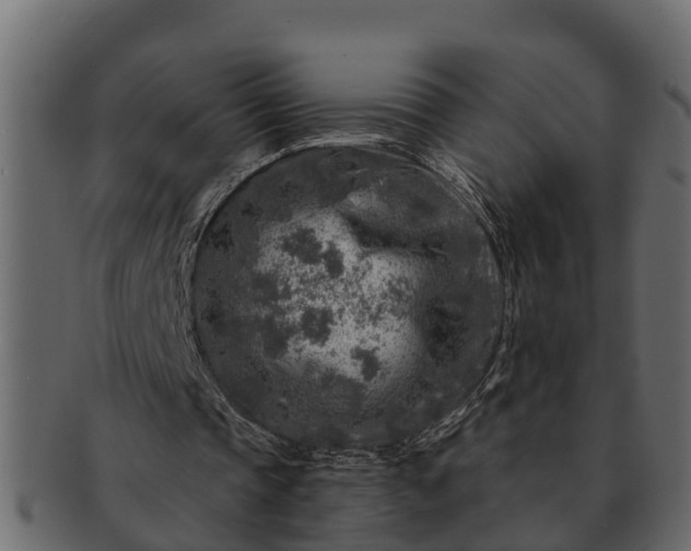 X0000091720337200709071441