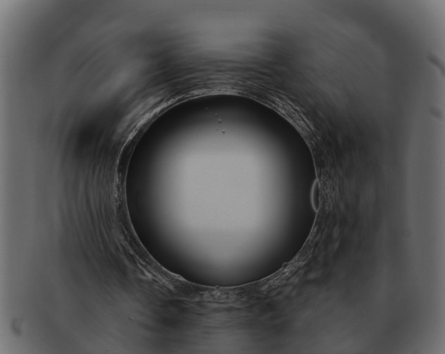 X0000091720338200709071441