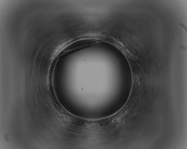 X0000091720340200709071441