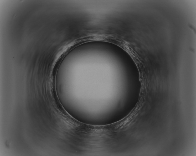 X0000091720342200709071441