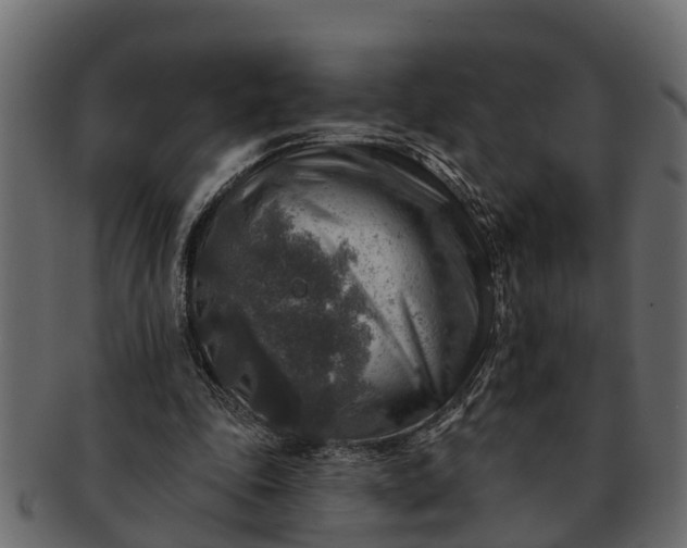 X0000091720343200709071441