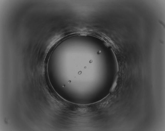 X0000091720344200709071441