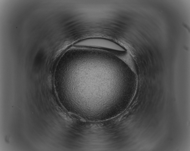 X0000091720345200709071441