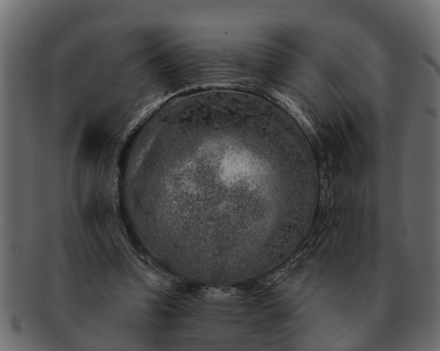 X0000091720346200709071441