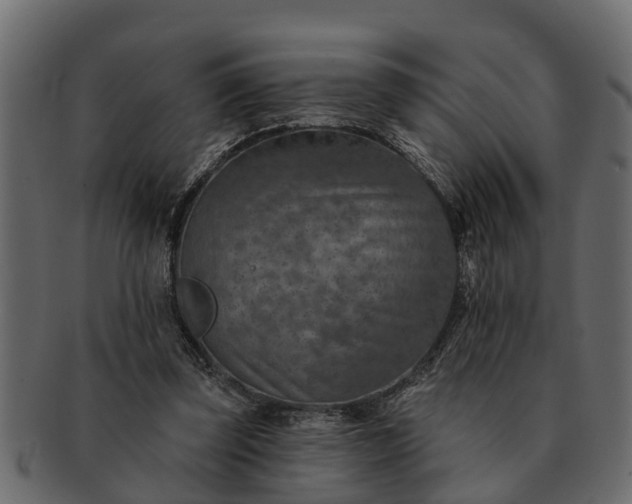 X0000091720347200709071441