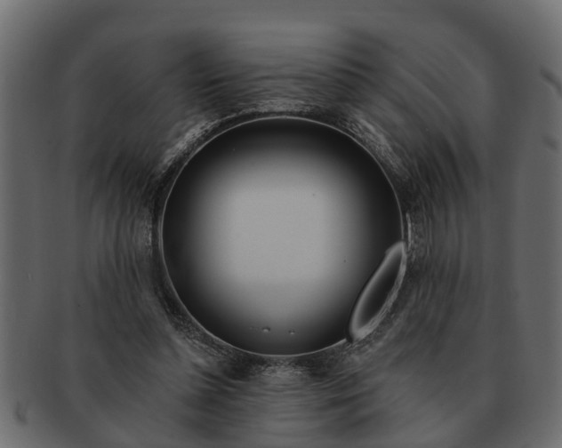 X0000091720348200709071441