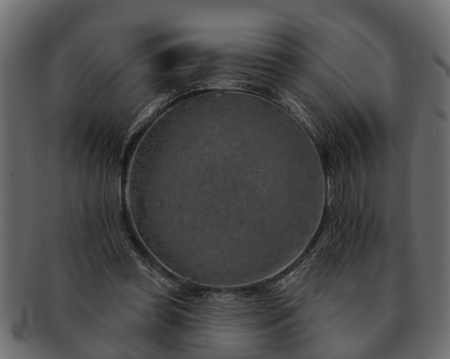 X0000091720349200709071441