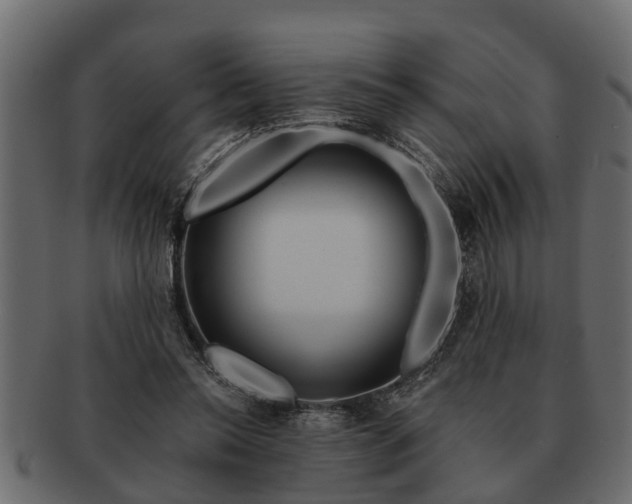 X0000091720350200709071441