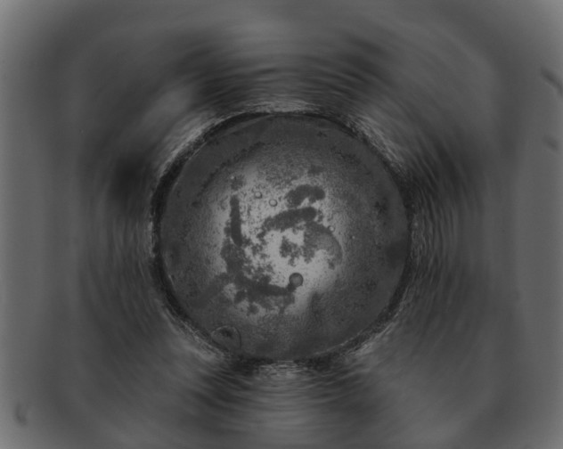 X0000091720351200709071441