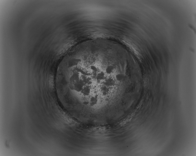 X0000091720353200709071441