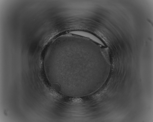 X0000091720355200709071441