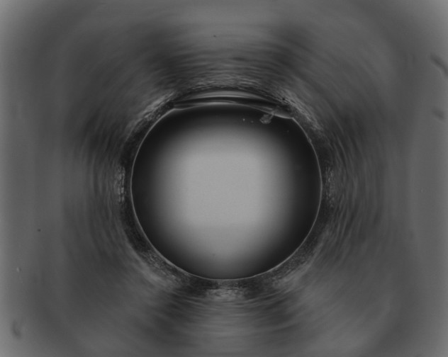 X0000091720356200709071441