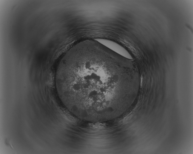 X0000091720359200709071441