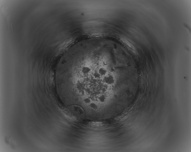 X0000091720361200709071441