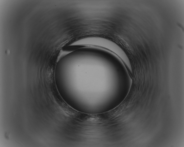 X0000091720364200709071441