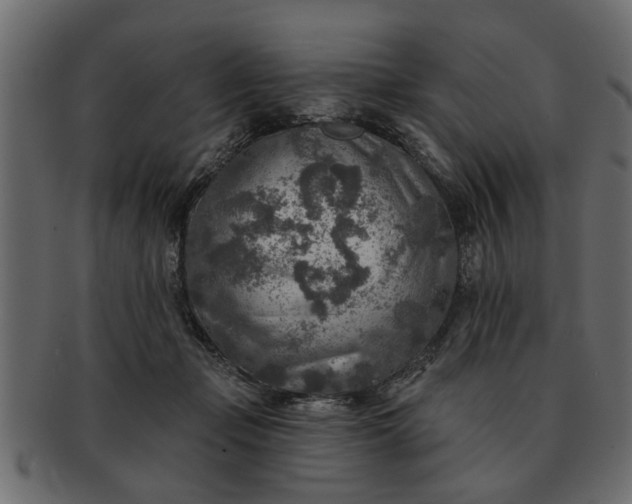 X0000091720365200709071441