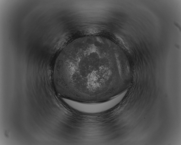 X0000091720366200709071441