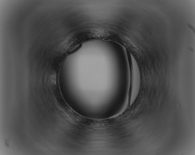 X0000091720368200709071441