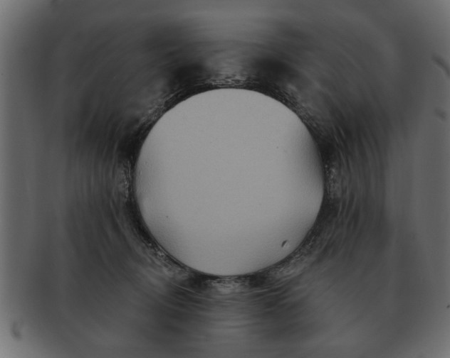 X0000091720370200709071441