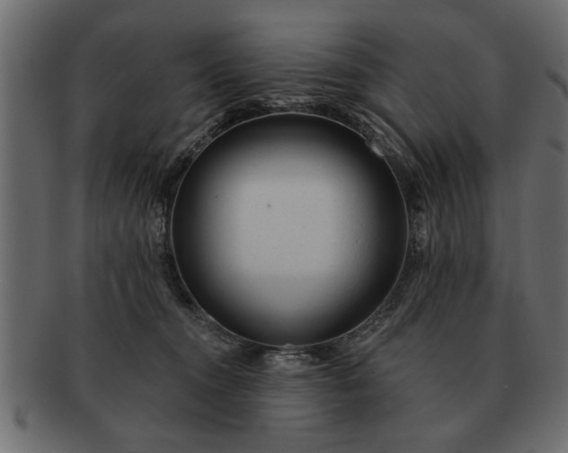 X0000091720372200709071441