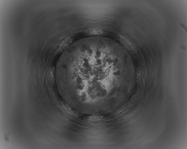 X0000091720373200709071441