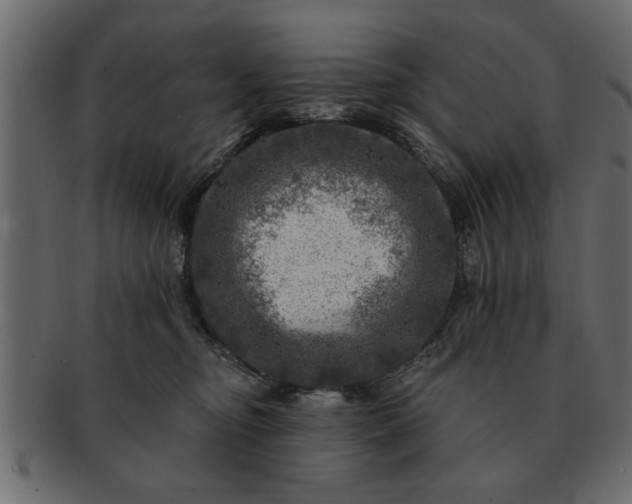 X0000091720374200709071441