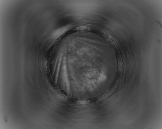 X0000091720375200709071441