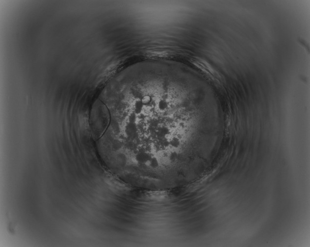 X0000091720377200709071442