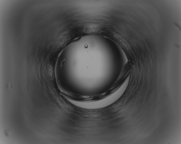 X0000091720380200709071442