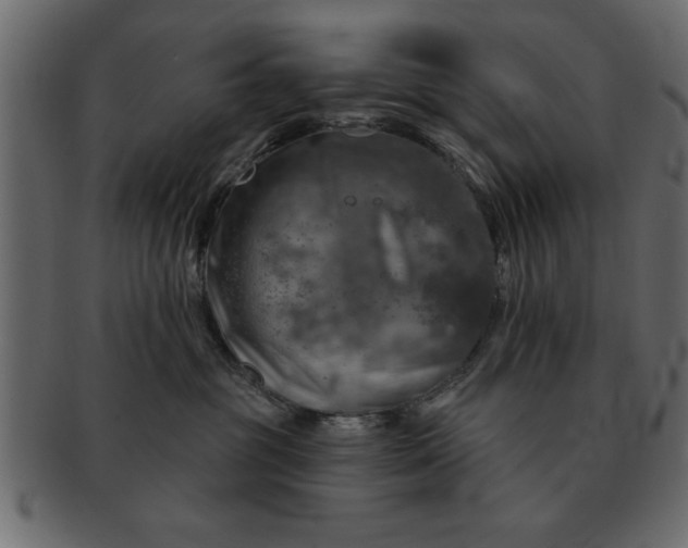 X0000091720381200709071442