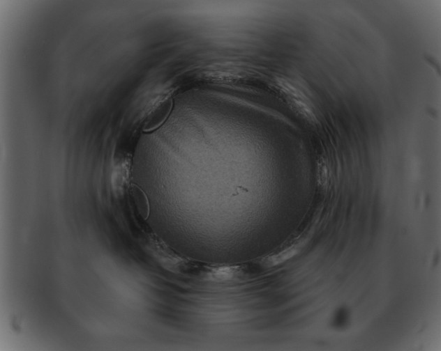 X0000091720382200709071442