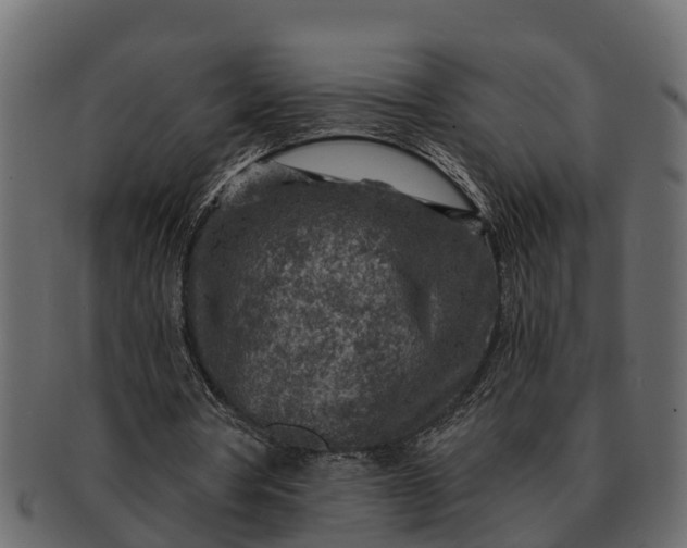 X0000091720386200709071441