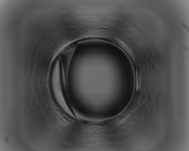 X0000091720387200709071441